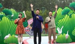 白鹭夺宝最新爆料视频,揭秘宝藏背后的神秘力量